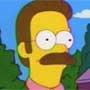 NED FLANDERS