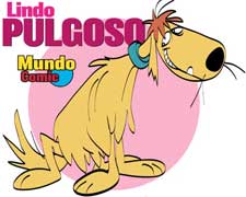 LINDO PULGOSO LINDO PULGOSO